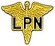 LPN Small Hat Pin