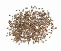 CELERY SEED, 50 lbs. by Angelina
