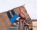 Large Neck Equine Ice Wrap - Elite-Kold
