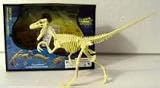 Buy velosoraptor dinosaur skeleton model by GREAT FORTUNE
