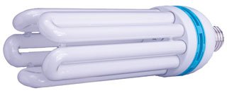 Hydrofarm FLC125D 125-Watt Daylight Compact Fluorescent Grow Light Bulb
