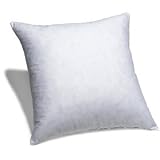 26x26 Euro Pillow Form Insert