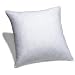 26x26 Euro Pillow Form Insert Image