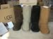 Classic tall ugg boots 33cm tall comes new in box with care card Chocolate, Chestnut, Black, sizes uk 4.5.6.7.these are great boots this season must have.They have Light weight  eva sole Raw seems and Twin faced grade A sheepskin.