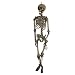 Hanging Skeleton Life Size 60in Prop