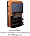 Kitchen & Housewares : BDI Concours Series Espresso TV Stand
