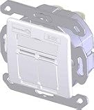 Produkt-Bild: Brand-Rex DNT Datendose Cat.6 2xRJ45 BSCG245SU002