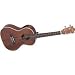 Lanikai LU-21TE Tenor Acoustic Electric Ukulele Lanikai LU-21TE Tenor Acoustic Electric Ukulele