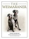 The Weimaraner