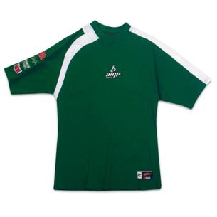 Buy Dale Earnhardt Jr Shirt