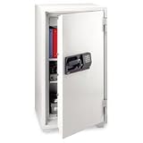 SENTRY Commercial Electronic/Tubular Key Fire Safe, 624lbs, 5.8 Cu. Ft., Gray