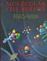 Molecular Cell Biology