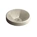 Inscribe 16.5 Wading Pool Lavatory