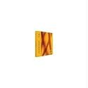 Backup Exec Small Business Server 2010 - Software