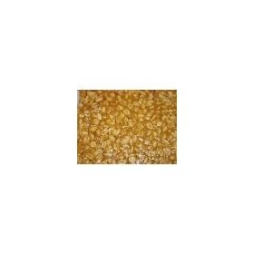 World's Best Gourmet Peanut Brittle - 1 Pound Bag