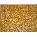 World's Best Gourmet Mixed Nut Brittle - 1 Pound Bag