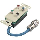 Cables To Go RapidRun Break-Away - Wall plate - component video / digital audio - RCA (F) - MUVI connector - ivory
