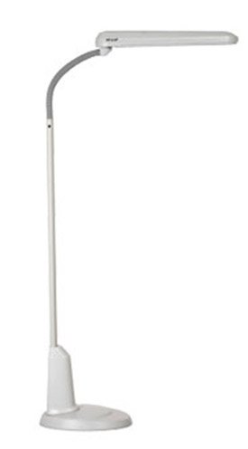 24 Watt Floor Lamp