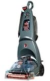 Proheat 2X Healthy Home Steamer