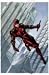 Daredevil the Man Without Fear #501 Variant Tim Sale Cover Edition