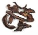 BOLETES, EUROPEAN STYLE,(DRIED) 25 lbs.