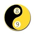 Black Belt Billiards a Book of Shots, Drills, Patterns, Opinions, Kata's and Koan's to Improve Your Game by Steven W. Campana