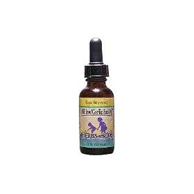 Herbs For Kids Willow/Garlic Oil Alcohol-Free