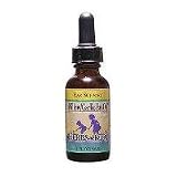 Herbs For Kids Willow/Garlic Oil Alcohol-Free