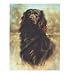 Killen's Boykin Spaniel Vertical/Banner Flag