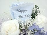 ���[���s�A���t�����[�v���ԁ@Happy Birthday�t�����[�M�t�g�@�h�[��M�@�y�u���[�z