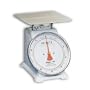 Detecto Dual Reading Metric Dial Scales-10 kg capacity