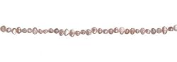 Darice 7 Inch Medium Fresh Water Pearl Strand, Champaign