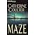 The Maze (FBI Thriller)