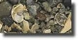 Carib Sea Ecco-Complete Live Freshwater African Cichlid Gravel 20 lb
