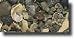 Carib Sea Ecco-Complete Live Freshwater African Cichlid Gravel 20 lb