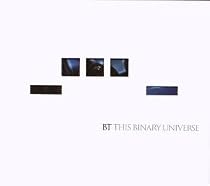 This Binary Universe