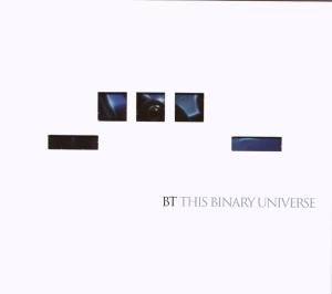 This Binary Universe