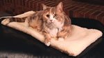 K and H Thermo Kitty Mat