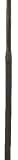Northampton Collection: Rubber Reins - Astnut/ss - One