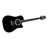 Takamine EF341SC Acoustic-Electric Guitar, Black
