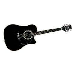 Childrens Toyshop  Musical Instruments : Takamine EF341SC Acoustic-Electric Guitar, Black