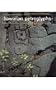 Hawaiian Petroglyphs (Bernice P. Bishop Museum Special Publication)