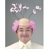 【パーティーグッズ・帽子・かぶりもの　ウィッグ・かつら】お花見父ちゃん