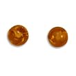 6mm Round Amber Stud Earrings