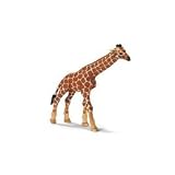 Schleich Giraffe Calf