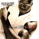 You Can't Stop the Reign [12 inch Analog]