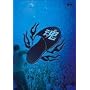 �O���[�v���̉J�̖쉹(���V���s) [DVD]
