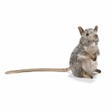 Plush Elephant Mouse 5