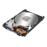 Fujitsu Siemens - Hard drive - 300 GB - hot-swap - 3.5" - Ultra320 SCSI - 10000 rpm