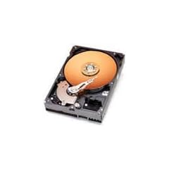 Western Digital Festplatten 3,5 Zoll SATA Festplatte Western Digital WD800JD 80 GB Caviar Blue